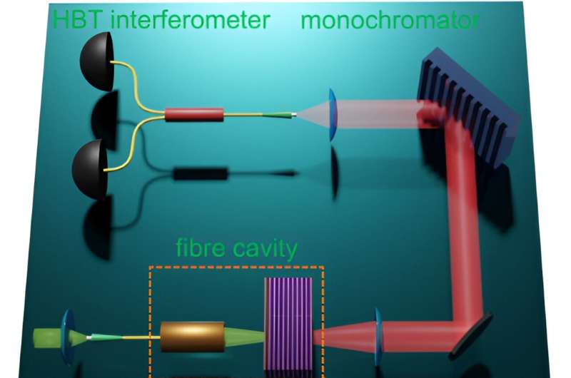 新的量子光学技术揭示了极化子相互作用
