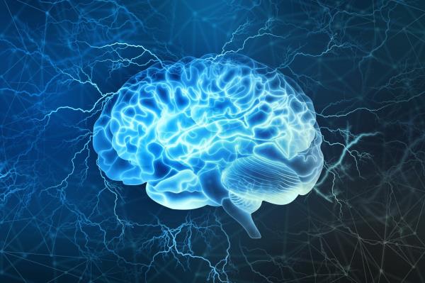 大脑涟漪会促进情绪记忆编码吗?