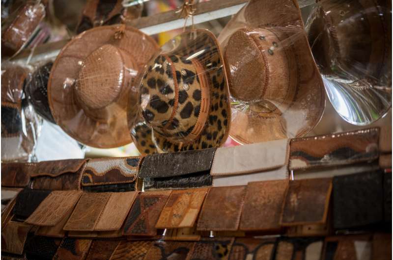 Priso<em></em>ners 'trading rare jaguar parts for fashion items'