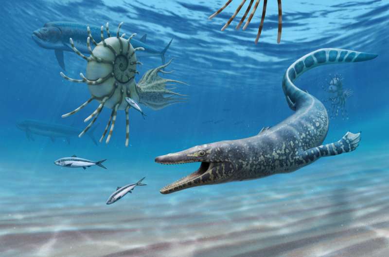团队发现了古代海洋爬行动物化石，带来了新的进化见解