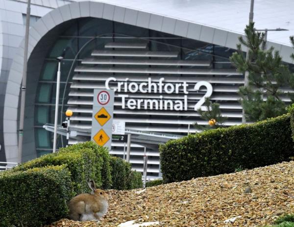 据《星期日泰晤士报》报道，都柏林机场员工的工资和福利遭到网络攻击