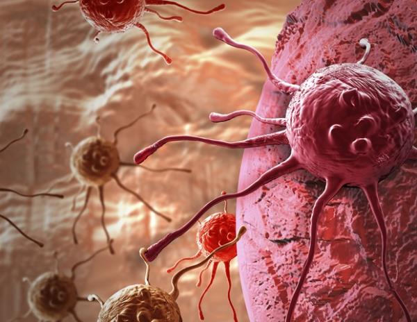 科学家发现RIOK1酶是癌症治疗的新靶点