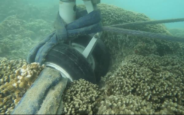 观看:水下视频显示被卡住的海军飞机轮胎接触珊瑚礁