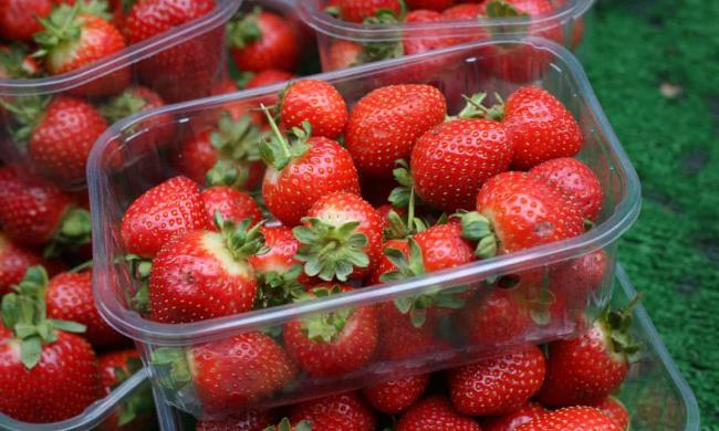 果汁:温布尔登网球迷可以在潮湿天气后品尝到更大的草莓