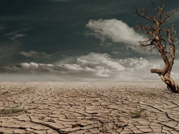 亚马逊地区遭受了三次干旱，这是未来一个世纪的严峻写照